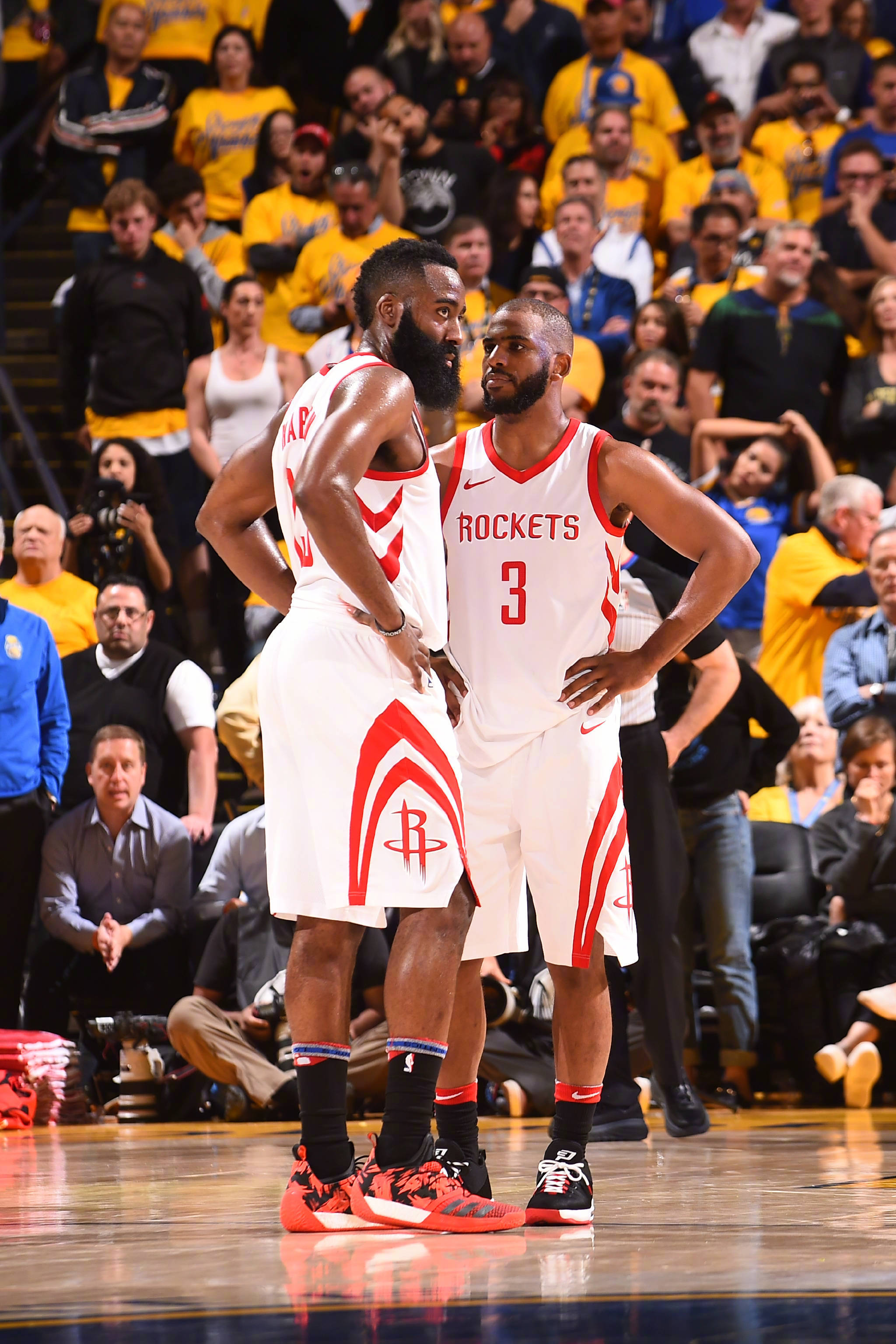 引导观众 引导观众